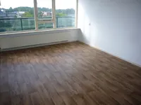 Frerikshuislaan, Almelo