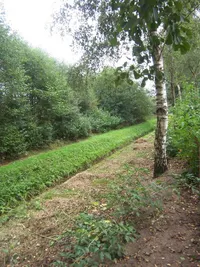 Jonkersweg 29, Winterswijk Meddo