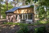 Biesdeel 4, Vlierden