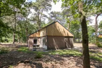 Biesdeel 4, Vlierden