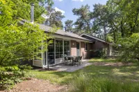 Biesdeel 6C, Vlierden