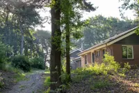 Biesdeel 6C, Vlierden