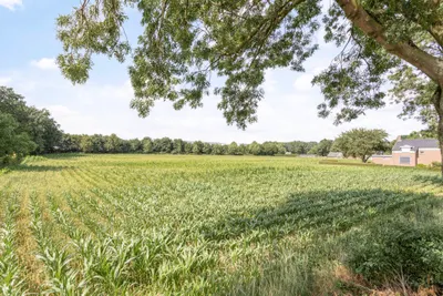 Vrouwboomweg 0 ong, 5961PM, Horst, Limburg