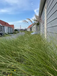 Vuurtorenpark Zuid 421, Hollum