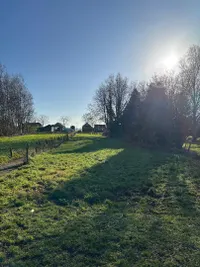 Noordercolonie 34ong, Nieuwe Pekela