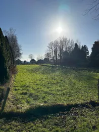 Noordercolonie 34ong, Nieuwe Pekela