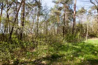 Kattenbergweg 1 144, Winterswijk