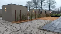 Bethlehemsreed, Boelenslaan