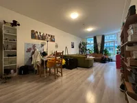Diergaardesingel, Rotterdam