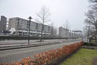 Picushof, Eindhoven