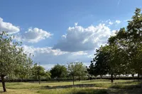 Drogendijk ongenummerd 0 ong, Walsoorden
