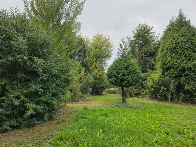 Oude Maasdijk 24, 6621AC, Dreumel, Gelderland