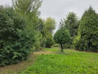 Oude Maasdijk 24, Dreumel