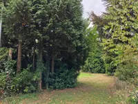 Oude Maasdijk 24, Dreumel