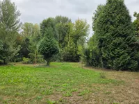 Oude Maasdijk 24, Dreumel
