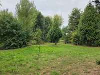 Oude Maasdijk 24, Dreumel