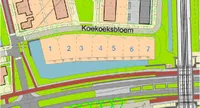 Koekoeksbloem 0 ong, Bergen Op Zoom