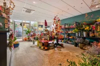 Vinckenhofstraat 38A, Venlo