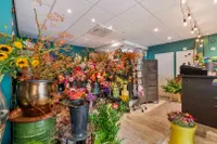 Vinckenhofstraat 38A, Venlo