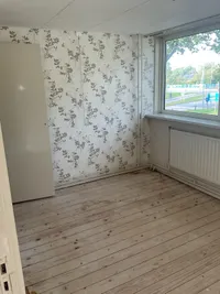 Zuidenveld, Assen