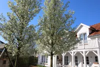 Groenevelt 12, Sluis