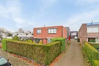 Elleboog, Ede