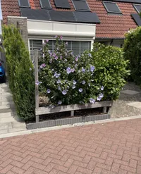 Vlasakker 19, Schiedam