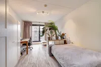 Welnastraat 355, Amsterdam