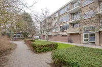 Stuart Millpad 77, Rotterdam