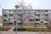 Stuart Millpad 77, Rotterdam
