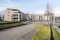 Forum 44, Born