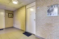 Veldzuring 97, Venlo