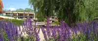 Molenwijck, Loon op Zand