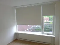 Ansjovislaan, Bergen op Zoom