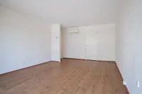 Purperhoedenveem, Amsterdam