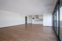 Purperhoedenveem, Amsterdam