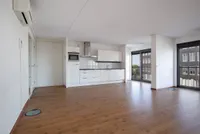 Purperhoedenveem, Amsterdam