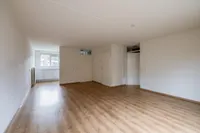 Honingklaver 10, Venlo