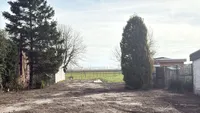 Rapenburg 124, Vogelwaarde