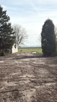 Rapenburg 124, Vogelwaarde