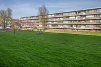van der Werffstraat 182, Vlaardingen