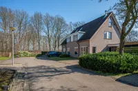 De Snikke 6, 't Haantje