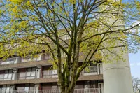 Hogeweg 13 F, Amersfoort