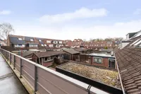 Goudfazant 4, Nieuwegein