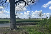 Wollinghuizerweg 0 ong, Vlagtwedde