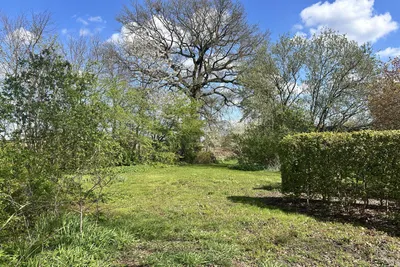 Wollinghuizerweg 0 ong, 9541VC, Vlagtwedde, Groningen