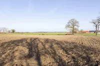 Aaldonksestraat - kavel B 0 ong, Ottersum