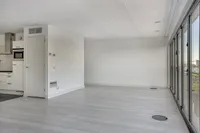 Purperhoedenveem, Amsterdam