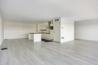 Purperhoedenveem, Amsterdam