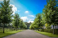 Driemarkweg 16, Winterswijk Miste